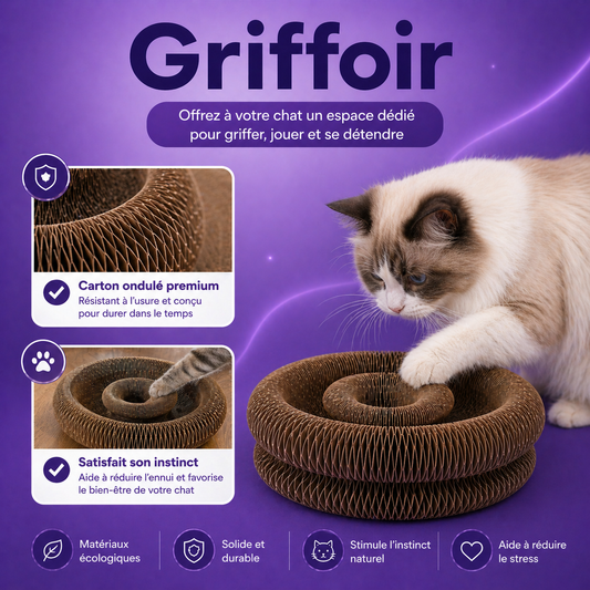 GRIFFOIR INTERACTIF
